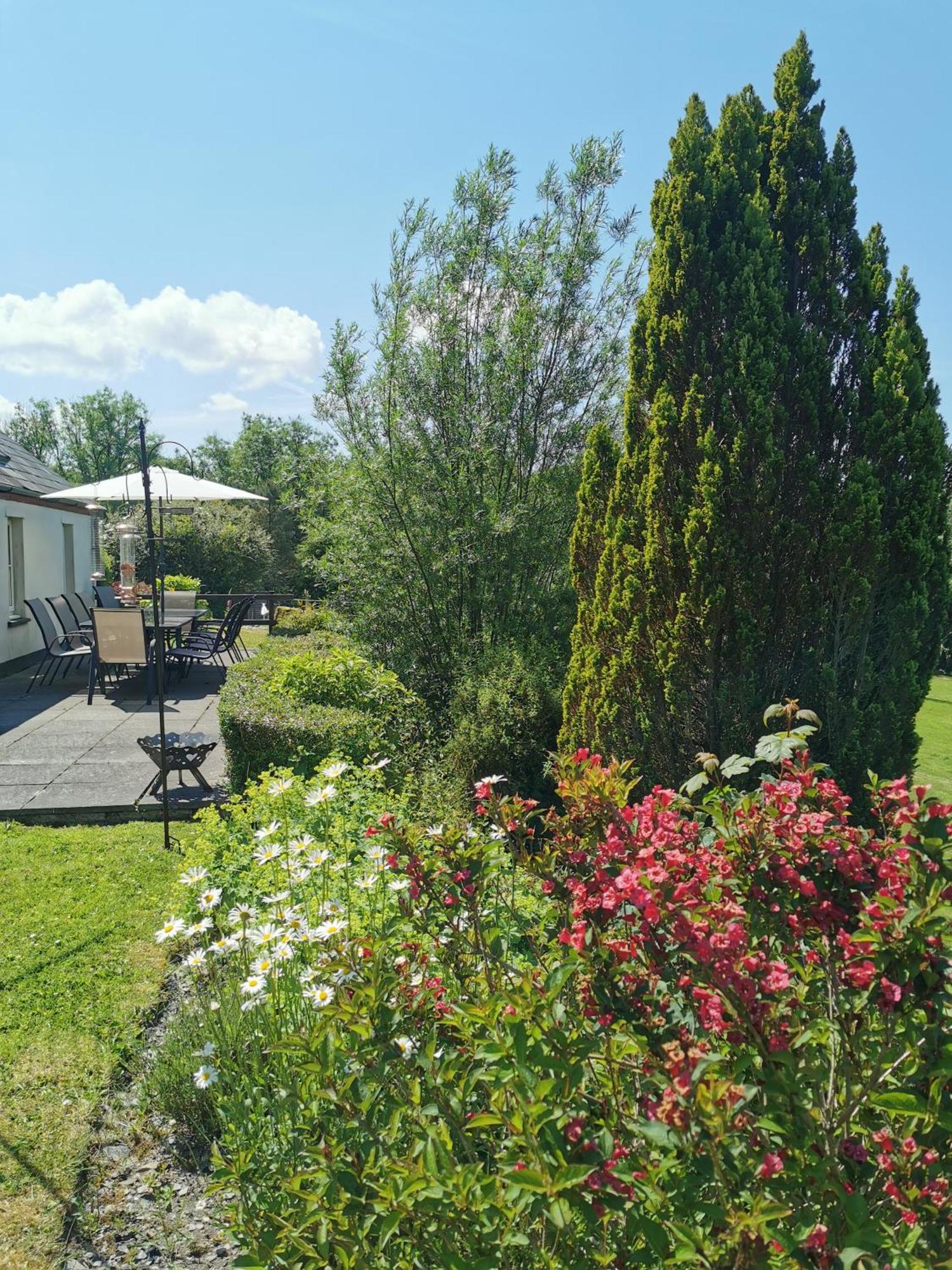 Wellstone Cottages - Coach House Llanfyrnach Εξωτερικό φωτογραφία